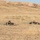 Coalition Forces Conduct Hungarian-Led Range Operations