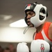 Coast Guard Cadets Compete in Friday Night Fights