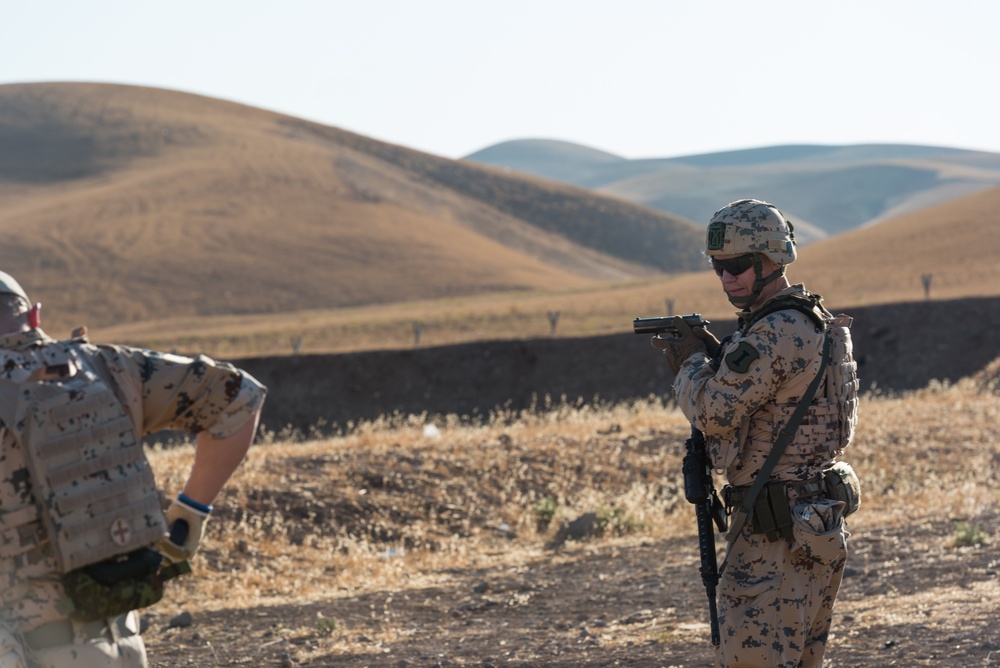 Coalition Forces Conduct Hungarian-Led Range Operations