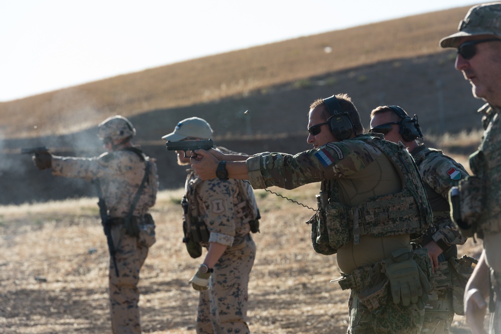 Coalition Forces Conduct Hungarian-Led Range Operations