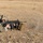 Coalition Forces Conduct Hungarian-Led Range Operations