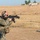 Coalition Forces Conduct Hungarian-Led Range Operations