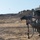 Coalition Forces Conduct Hungarian-Led Range Operations