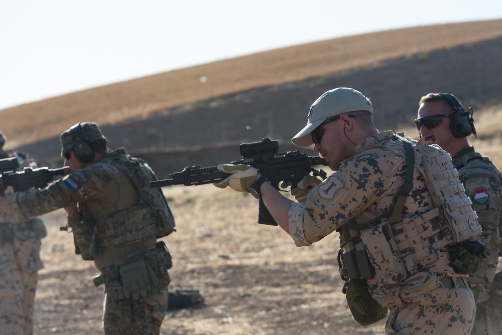 Coalition Forces Conduct Hungarian-Led Range Operations