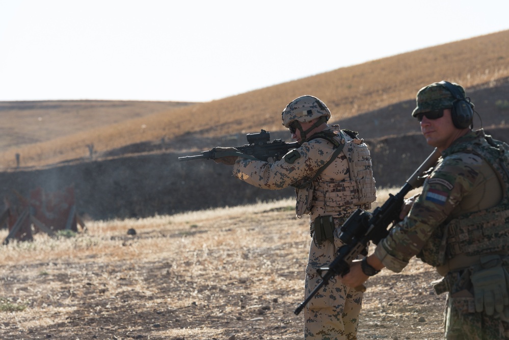 Coalition Forces Conduct Hungarian-Led Range Operations