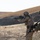Coalition Forces Conduct Hungarian-Led Range Operations