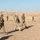Coalition Forces Conduct Hungarian-Led Range Operations