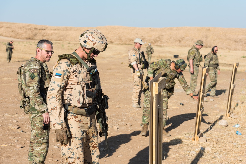 Coalition Forces Conduct Hungarian-Led Range Operations