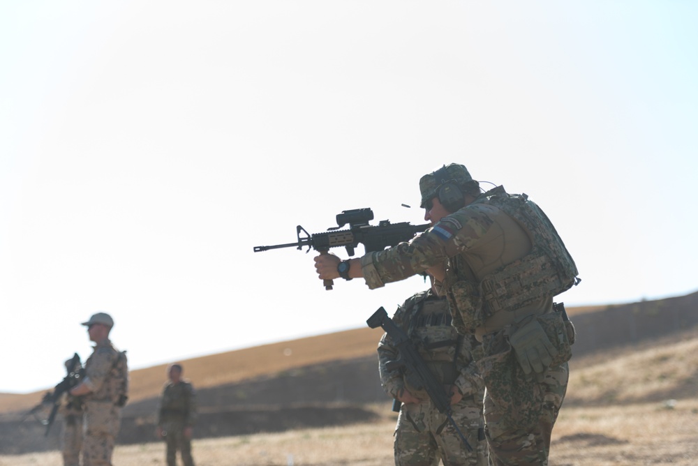 Coalition Forces Conduct Hungarian-Led Range Operations
