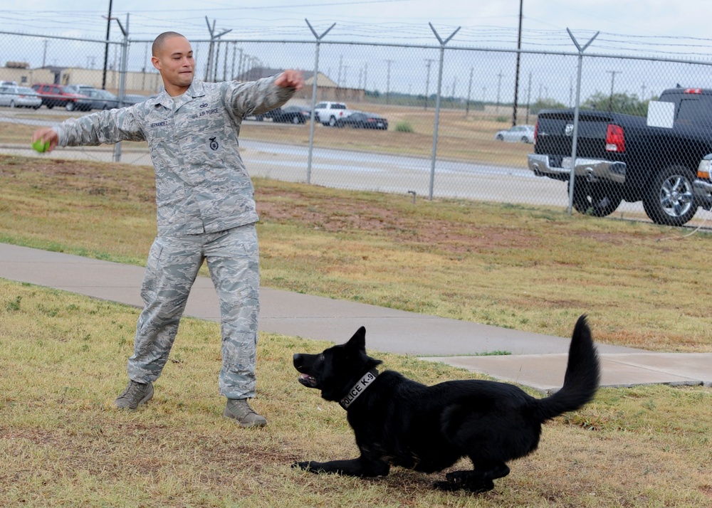 Air Force Dog Handler Plays with Military Working Dog