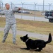 Air Force Dog Handler Plays with Military Working Dog