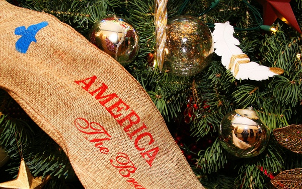 White House Christmas Tree Honors 'America the Brave'