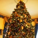 White House Christmas Tree Features Lyrics from Former National Anthem