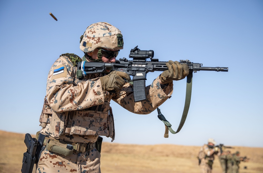 Coalition Members Conduct Weapons Training at Beneslawa Range