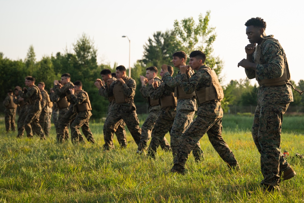 U.S. Marines conduct MCMAP during Atlantic Alliance 25