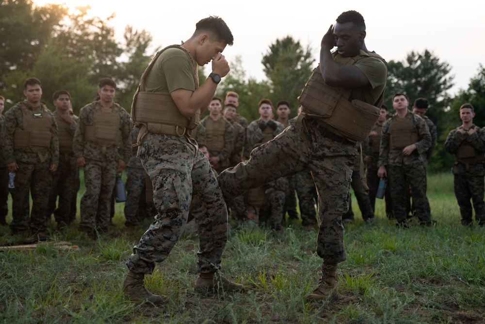U.S. Marines conduct MCMAP during Atlantic Alliance 2025