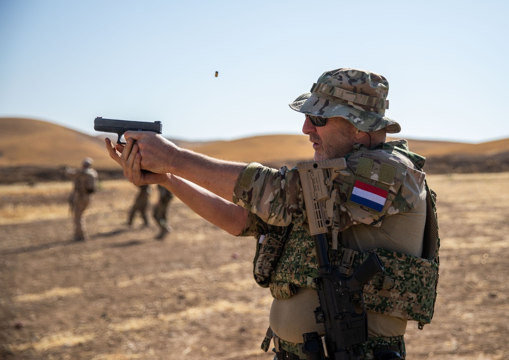 Coalition Members Conduct Weapons Training at Beneslawa Range
