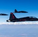 Beale AFB T-38's fly above California air space