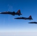 Beale AFB T-38's fly above California air space