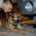 Air Force Airman and Working Dog Conduct Vehicle Check in Southwest Asia