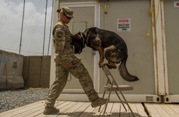 Air Force Sgt. Trains Dog for Duty in Afghanistan