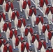 Old Guard Fife and Drum Corps Marches in 2009 Inaugural Parade