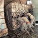 U.S. Military Provides Vital Humanitarian Aid to Japan After Disaster