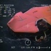 Coast Guard Rescues Crew of Sinking HMS Bounty