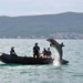 U.S. Navy Dolphins Assist Montenegrin Navy in Detecting Underwater Explosives