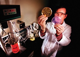 Sandia Researchers Develop Anthrax Decontamination Formulation