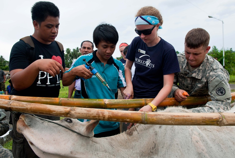 U.S. Troops Provide Veterinary Care During Civic Action Project in Indonesia