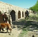 Mine Detection Dog Assists Patrol in Afghanistan