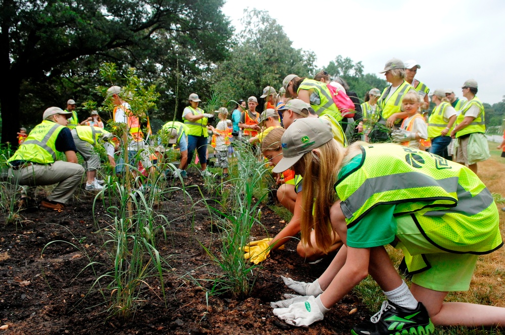 Volunteers Plant Milkweed to Attract Monarch Butterflies at Arlington National Cemetery