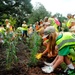 Volunteers Plant Milkweed to Attract Monarch Butterflies at Arlington National Cemetery