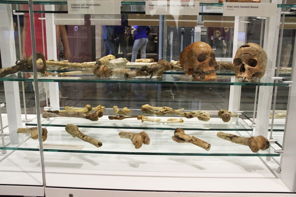 National Medical Museum Preserves Remains from Past Battles