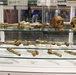 National Medical Museum Preserves Remains from Past Battles