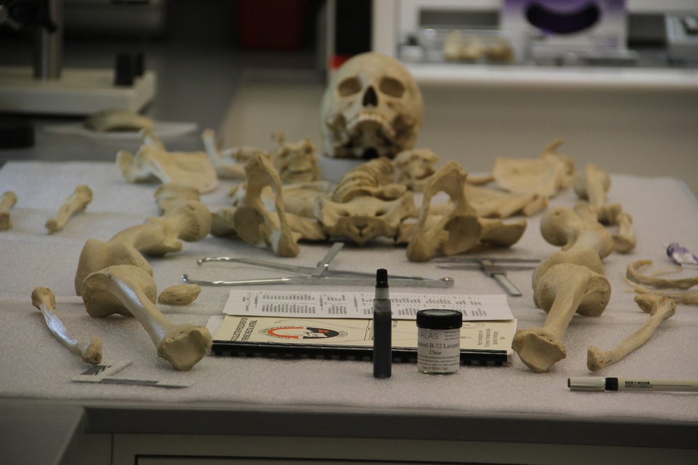National Medical Museum Offers Glimpse Into Exhibit Assembly
