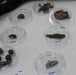 Experts Analyze Shrapnel Removed from Service Members