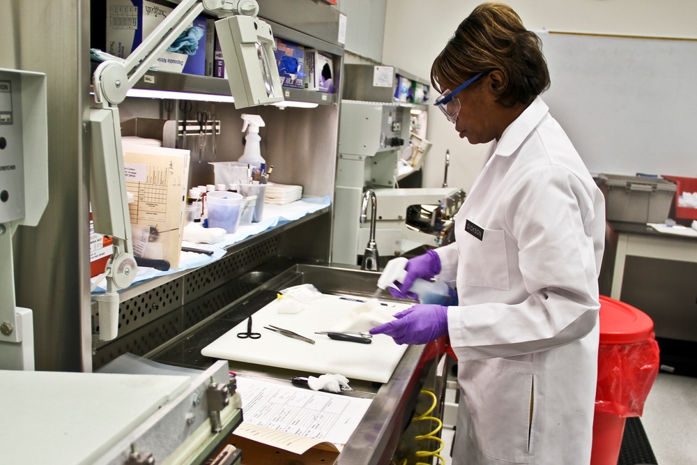 Army Pathologist Prepares Tissue Samples for Consultation