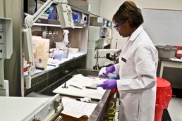 Army Pathologist Prepares Tissue Samples for Consultation