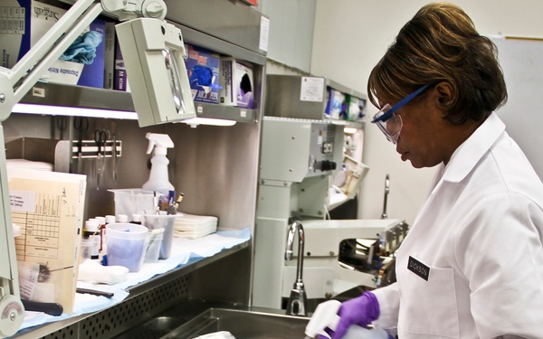 Army Pathologist Prepares Tissue Samples for Consultation