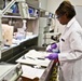 Army Pathologist Prepares Tissue Samples for Consultation