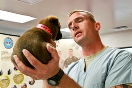 Military Working Dog Breeding Program Trains Next Generation of Service Canines