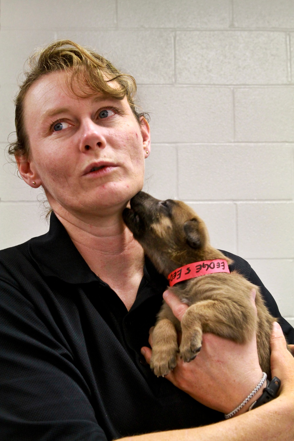Military Working Dog Breeding Program Experts Evaluate Puppies for Service