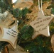 Gold Star Christmas Tree Honors Fallen Troops at White House
