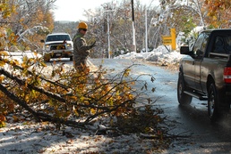 Massachusetts National Guard Soldiers Clear Fallen Tree After Storm