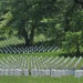 Arlington National Cemetery Honors Fallen Heroes on Memorial Day