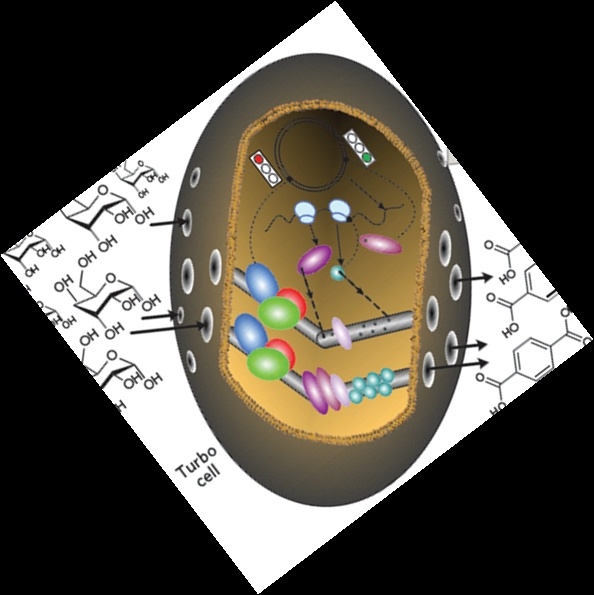 DARPA Seeks Biotech Breakthroughs with 'Living Foundries' Initiative
