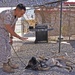 Marine Corps Dog Handler Trains Military Working Dog