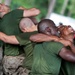 Marine Recruits Hone Martial Arts Skills at Parris Island